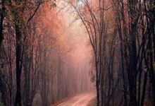 pg游戏官网：[CBA]常规赛3月9日：辽宁VS吉林.