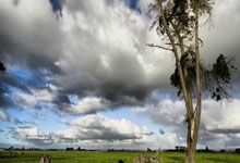 pg游戏官网：【体坛名场面】孙颖莎四两拨千斤戏耍徐孝元，乒乓球如果不行可以去女团！.