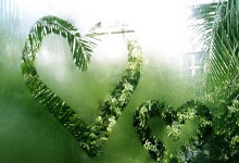 pg游戏官网：CBA常规赛南京男篮四川男篮.