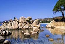 澳大利亚vs印尼半场数据：澳大利亚4射正进3球，印尼控球率62%.